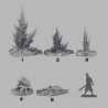 Fantastic Plants & Rocks -  