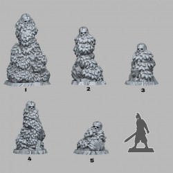 Fantastic Plants & Rocks -   (2)