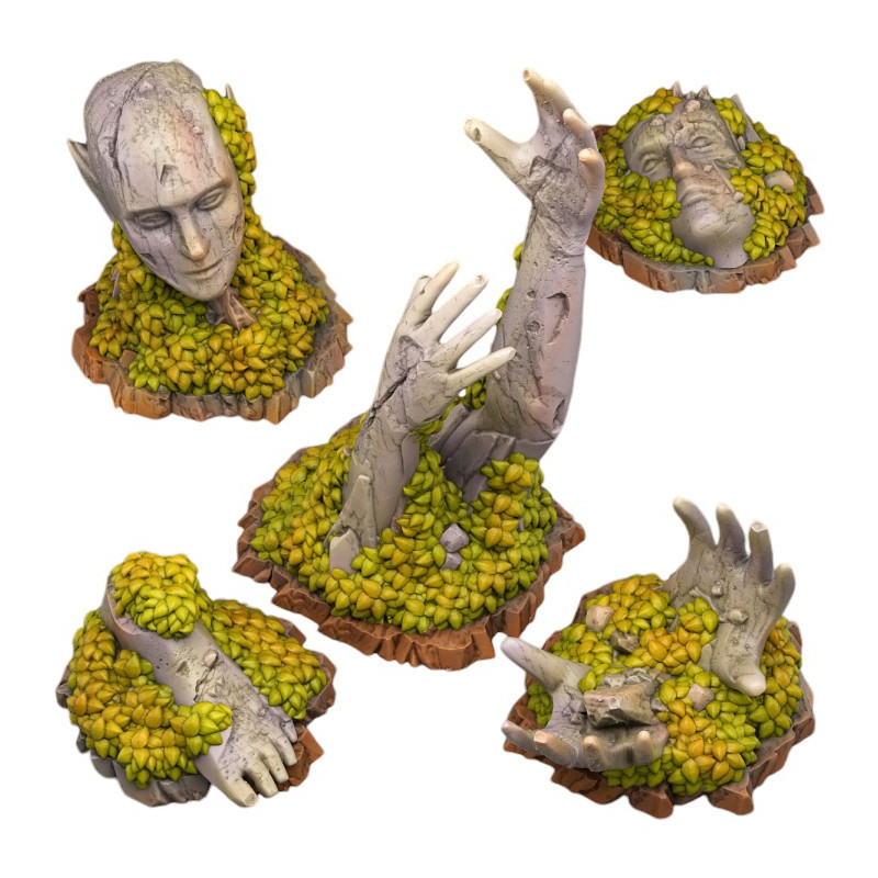 Fantastic Plants & Rocks -  