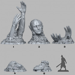 Fantastic Plants & Rocks -   (2)