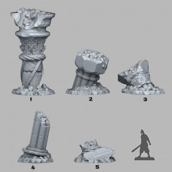 Fantastic Plants & Rocks -   (2)