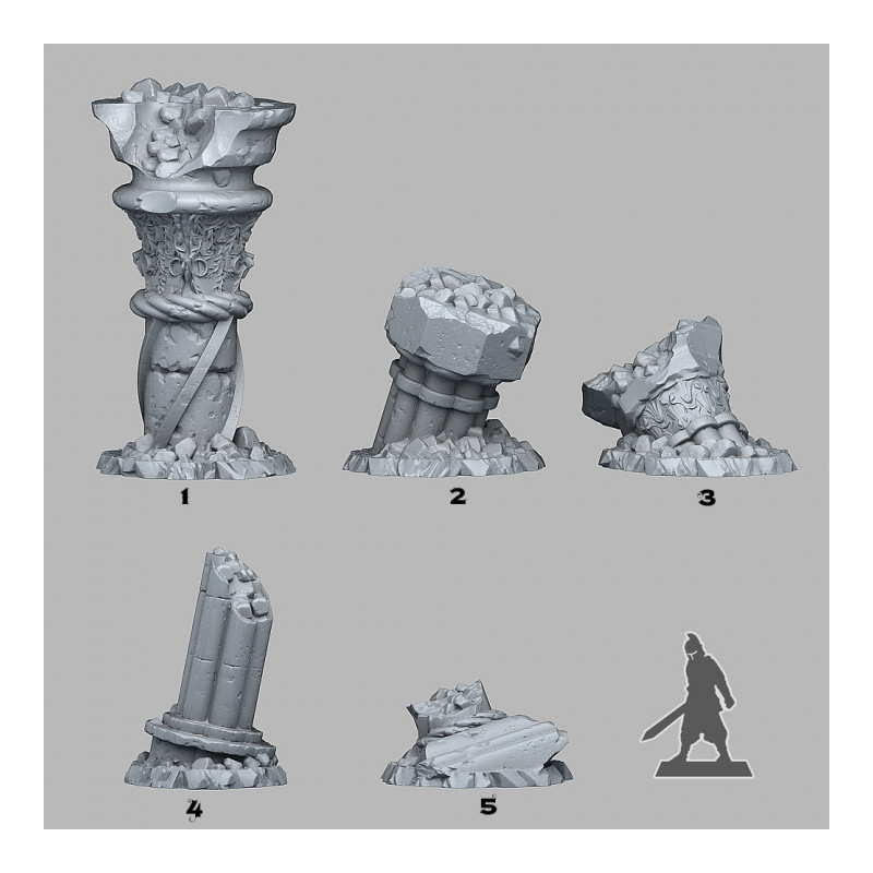 Fantastic Plants & Rocks -  
