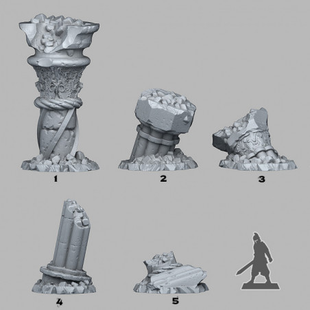 Fantastic Plants & Rocks -  