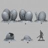 Fantastic Plants & Rocks -  