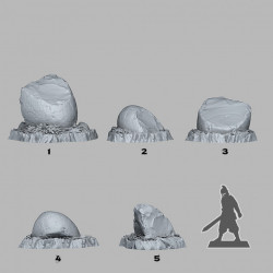 Fantastic Plants & Rocks -   (2)