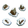 Fantastic Plants & Rocks -  