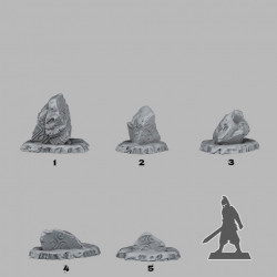 Fantastic Plants & Rocks -   (2)