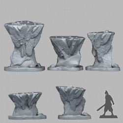 Fantastic Plants & Rocks -   (2)