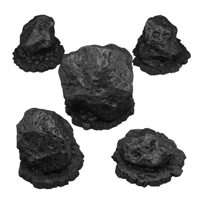 Fantastic Plants & Rocks -  
