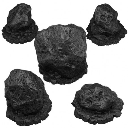 Fantastic Plants & Rocks -  