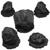Fantastic Plants & Rocks -  