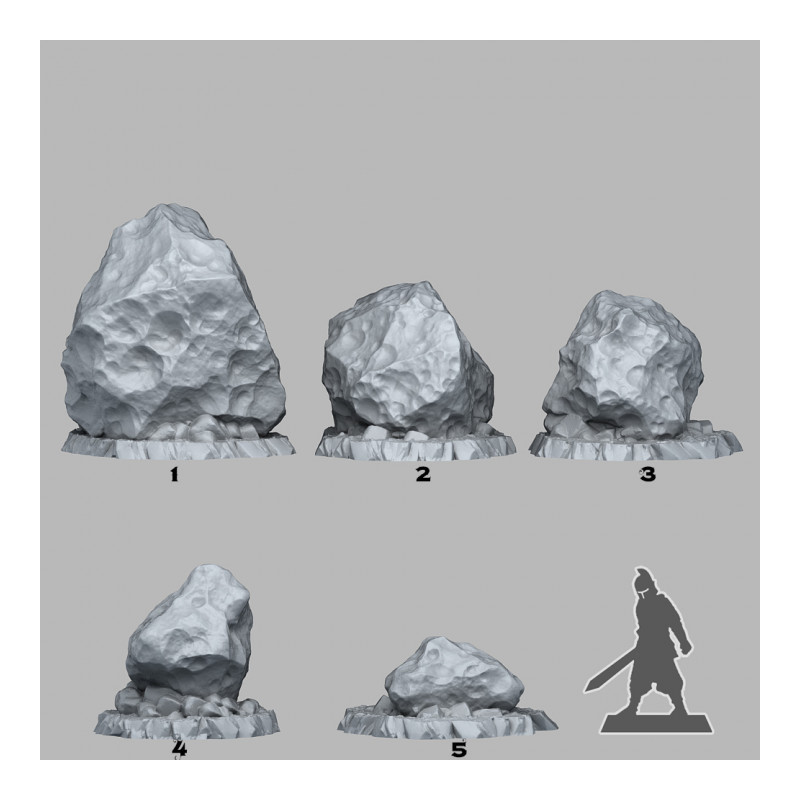 Fantastic Plants & Rocks -  