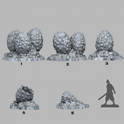 Fantastic Plants & Rocks -   (2)
