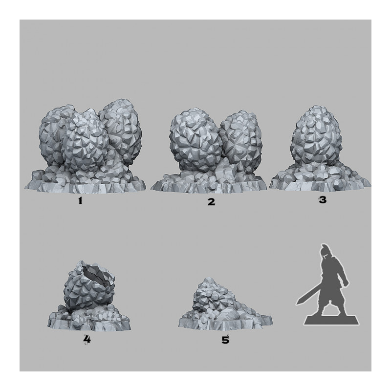 Fantastic Plants & Rocks -  