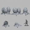 Fantastic Plants & Rocks -  