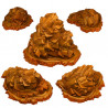 Fantastic Plants & Rocks -  