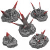 Fantastic Plants & Rocks -  