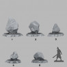 Fantastic Plants & Rocks -  