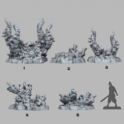 Fantastic Plants & Rocks -   (2)