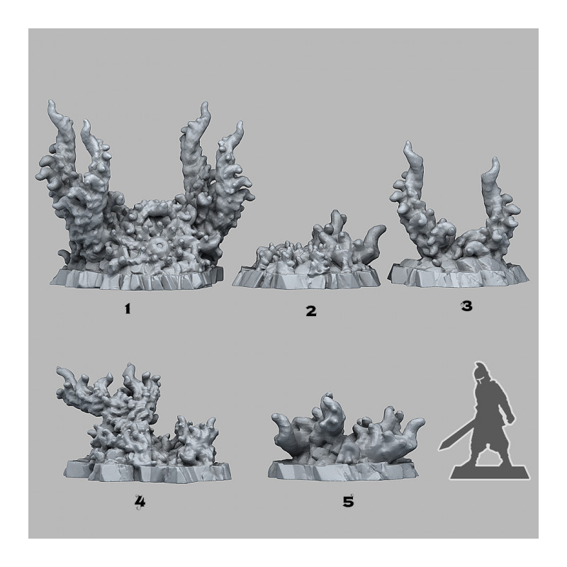 Fantastic Plants & Rocks -  