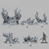 Fantastic Plants & Rocks -  