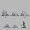 Fantastic Plants & Rocks -  