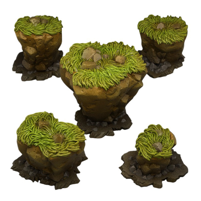 Fantastic Plants & Rocks -  