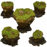 Fantastic Plants & Rocks -  