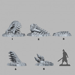 Fantastic Plants & Rocks -   (2)