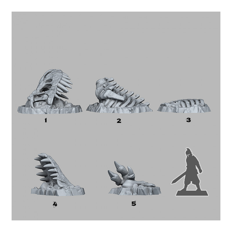 Fantastic Plants & Rocks - Fossilized T-Rex 