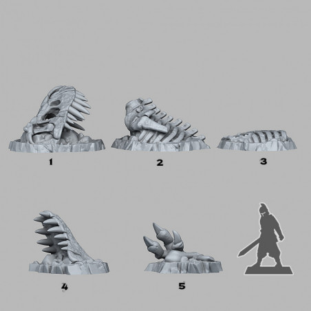 Fantastic Plants & Rocks - Fossilized T-Rex 