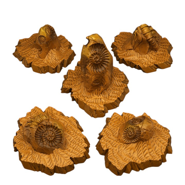 Fantastic Plants & Rocks - Fossil Rocks - Foto 1 di 2