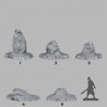 Fantastic Plants & Rocks -  