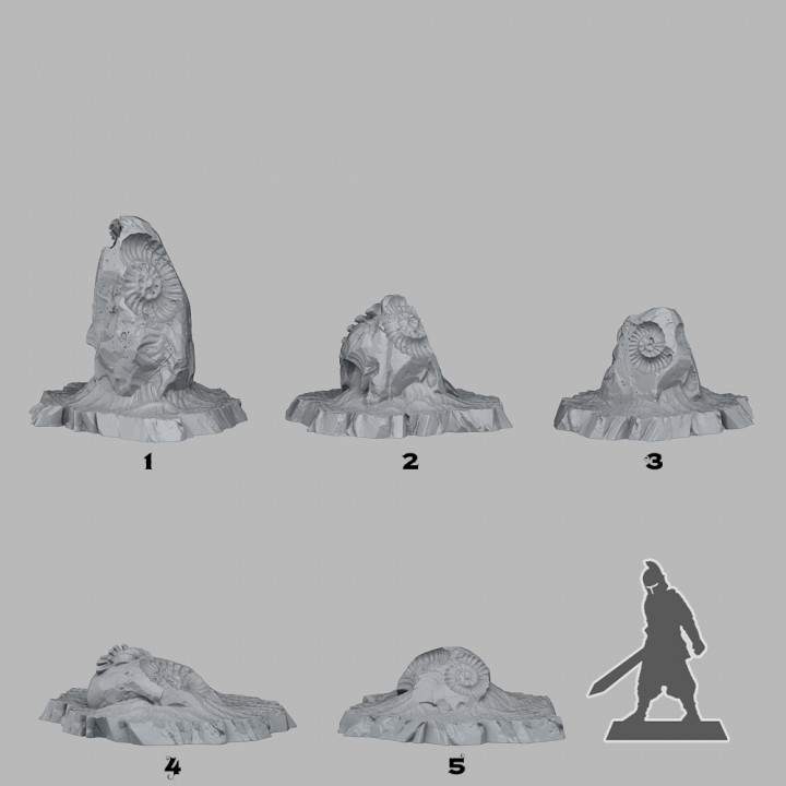 Fantastic Plants & Rocks - Fossil Rocks - Foto 2 di 2