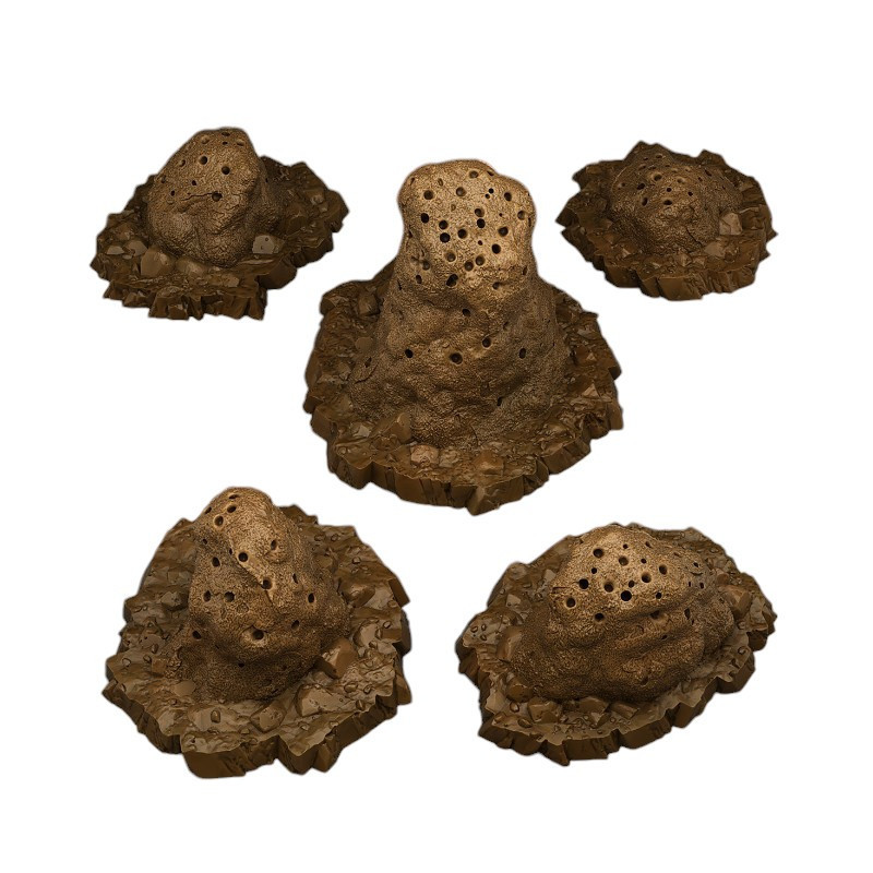 Fantastic Plants & Rocks -  
