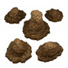 Fantastic Plants & Rocks -  
