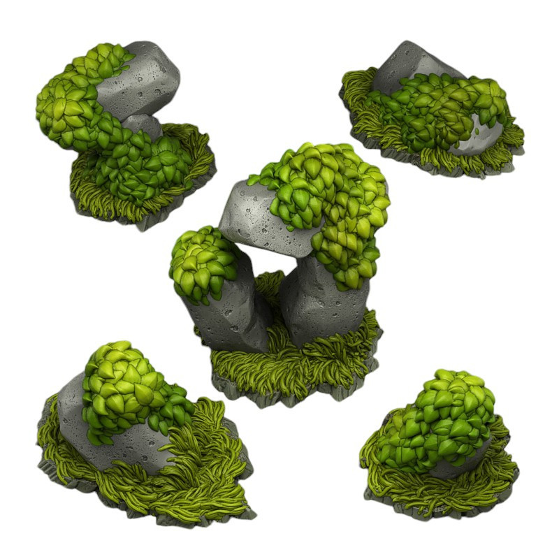 Fantastic Plants & Rocks -  