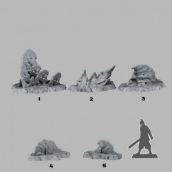 Fantastic Plants & Rocks -   (2)