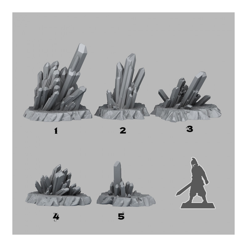 Fantastic Plants & Rocks -  