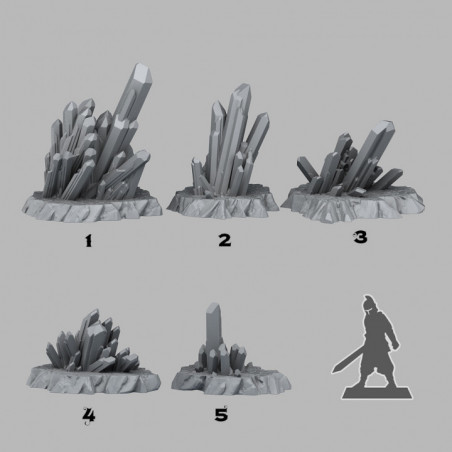 Fantastic Plants & Rocks -  