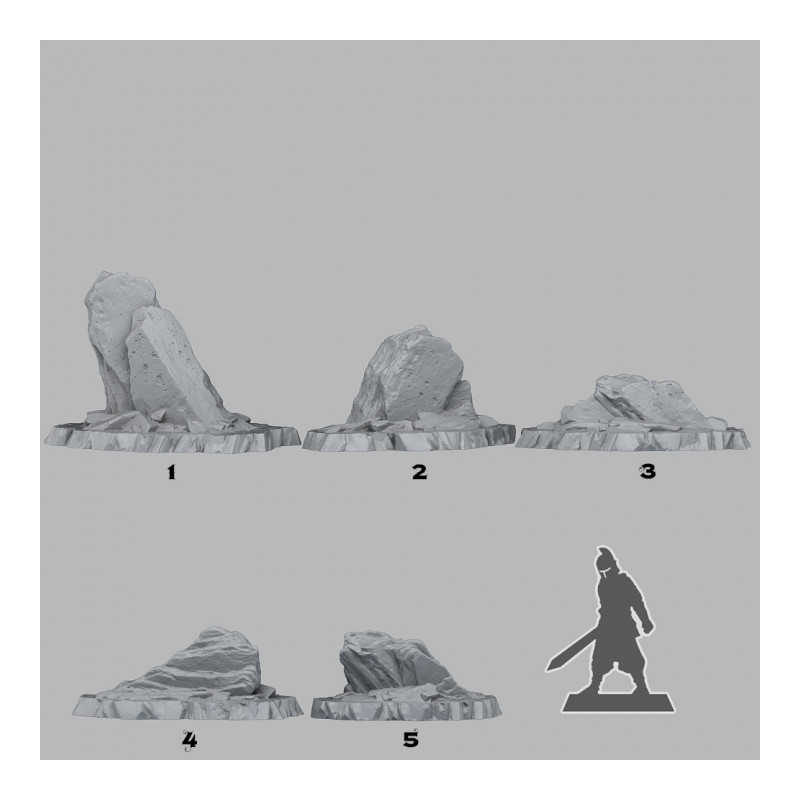 Fantastic Plants & Rocks -  