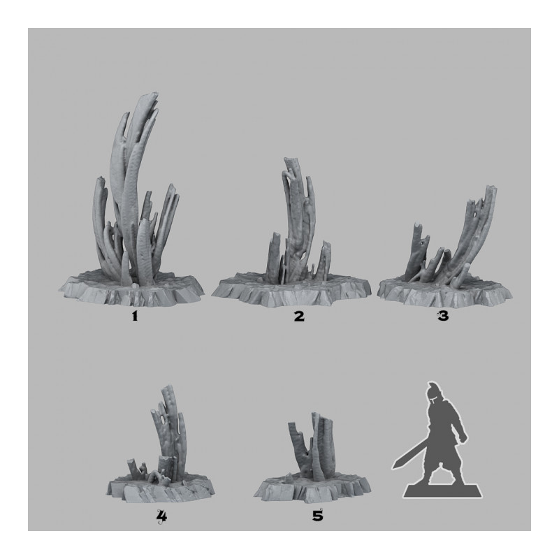 Fantastic Plants & Rocks -  