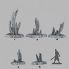 Fantastic Plants & Rocks -  