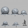 Fantastic Plants & Rocks -  