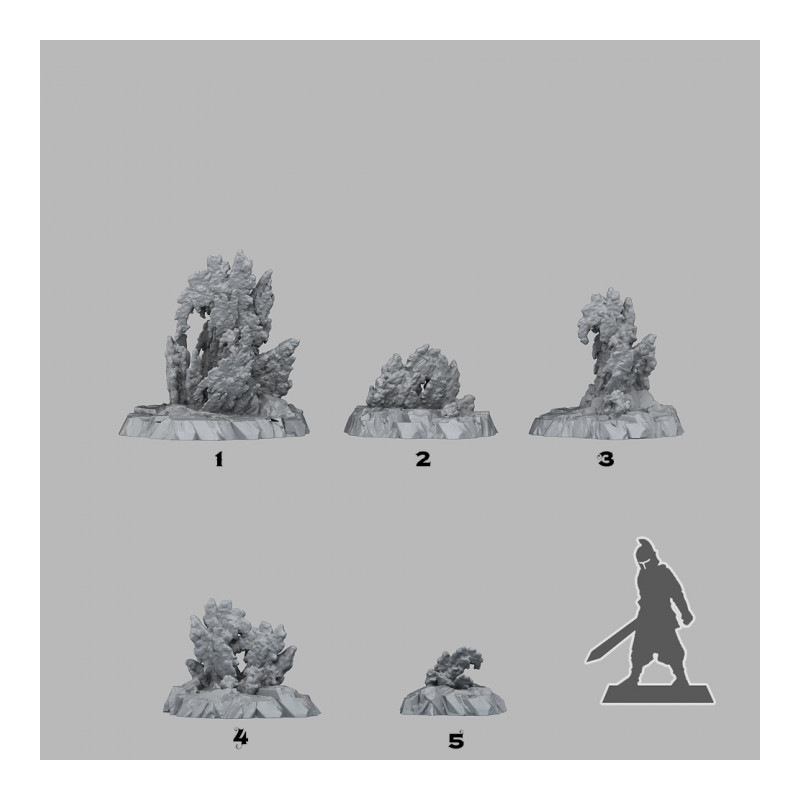 Fantastic Plants & Rocks -  
