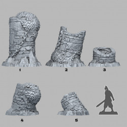 Fantastic Plants & Rocks -   (2)