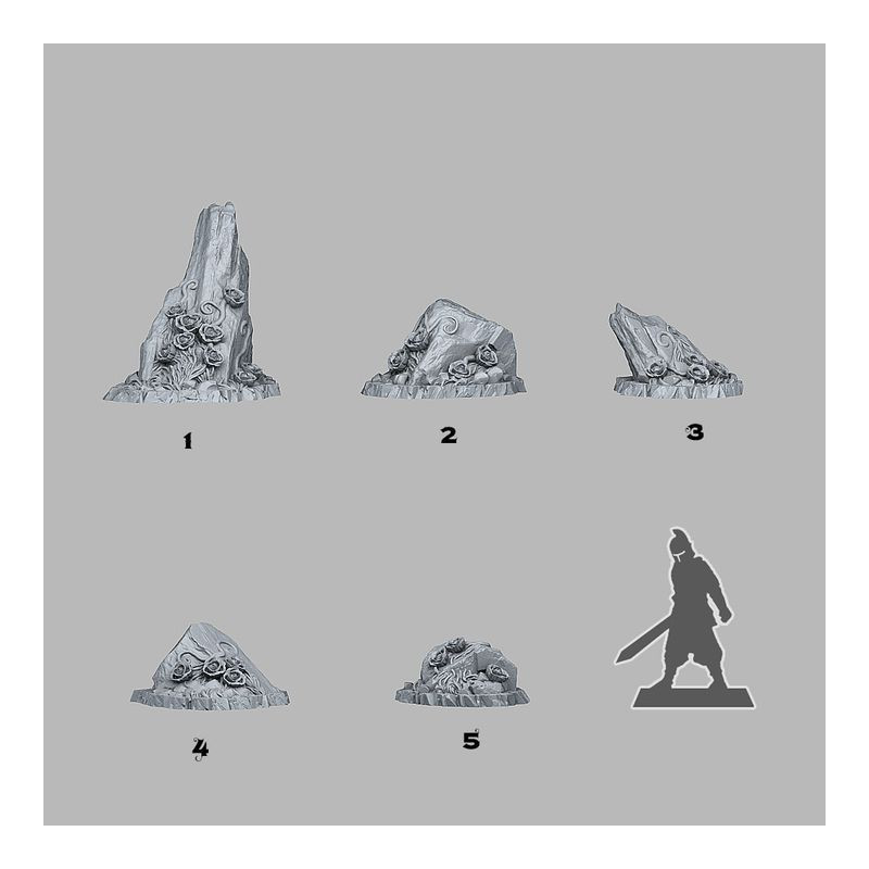 Fantastic Plants & Rocks -  