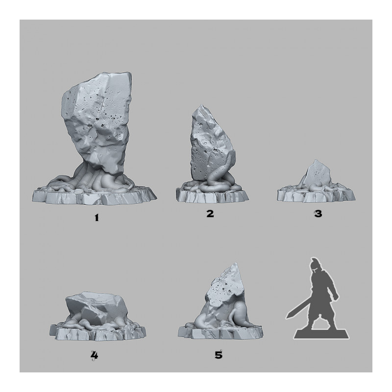 Fantastic Plants & Rocks -  
