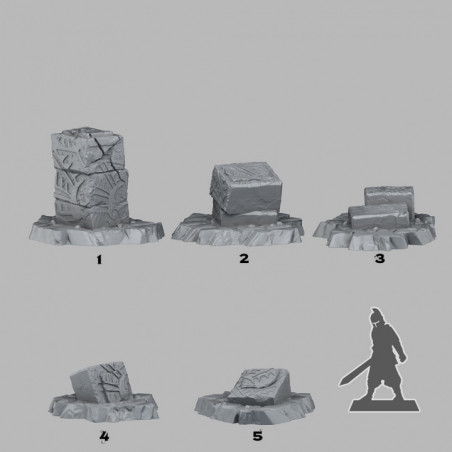 Fantastic Plants & Rocks -  