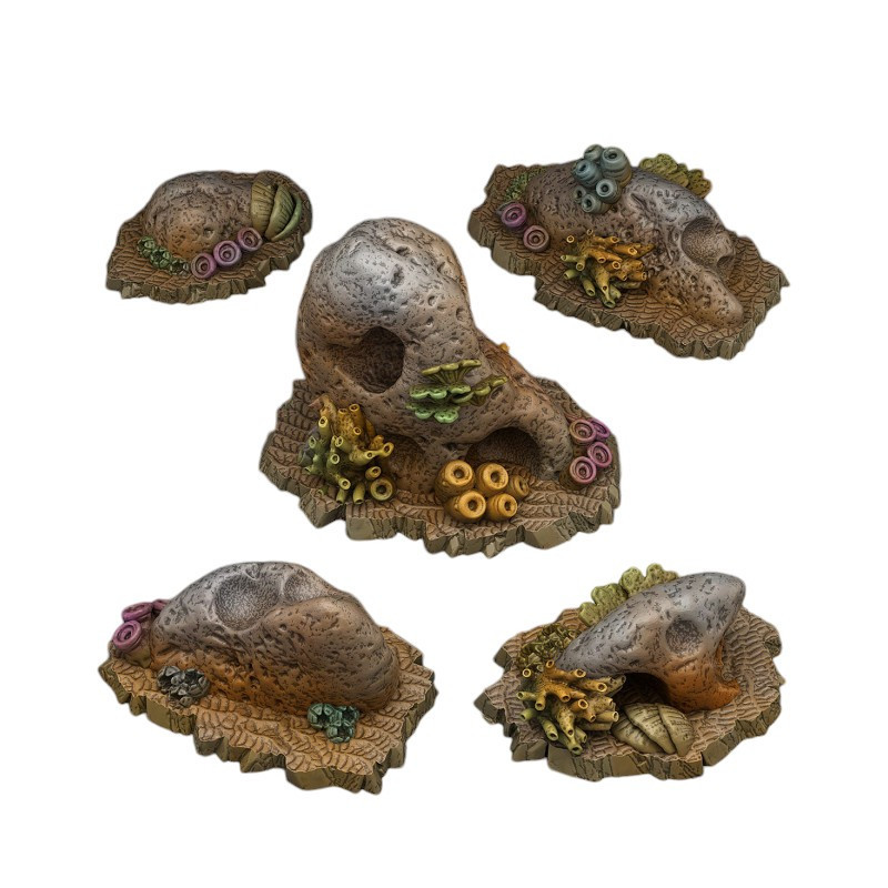 Fantastic Plants & Rocks -  